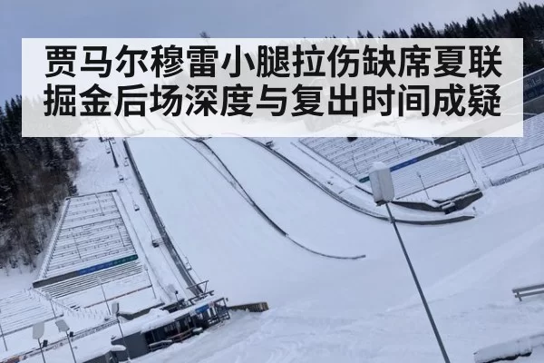 贾马尔穆雷小腿拉伤缺席夏联 掘金后场深度与复出时间成疑