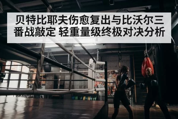 boxer training
